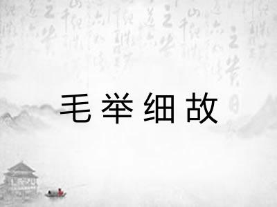 毛举细故