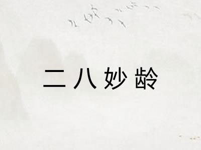 二八妙龄
