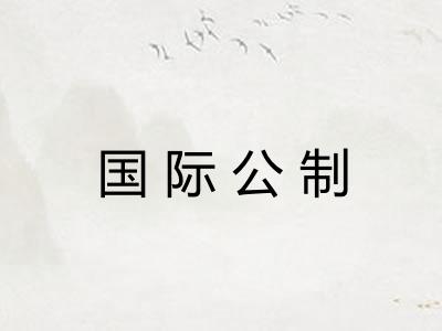 国际公制 国际公制