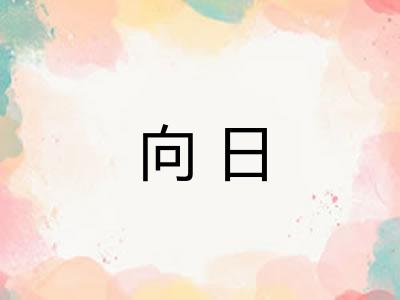 向日 向日