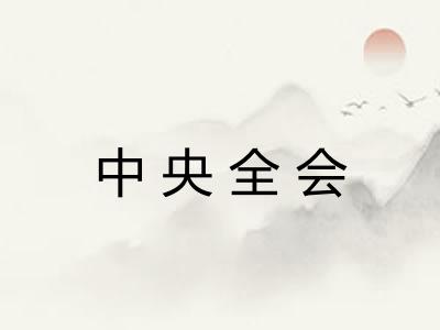 中央全会