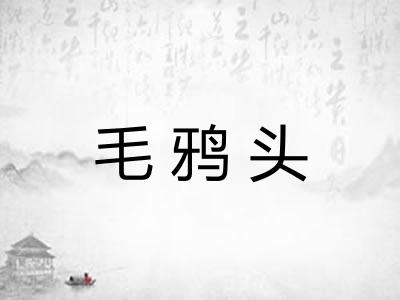 毛鸦头