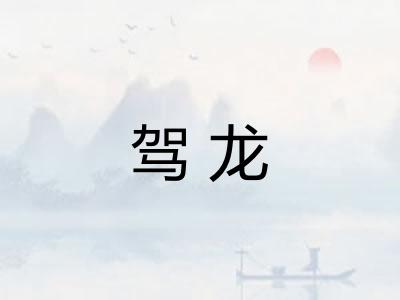 驾龙 驾龙