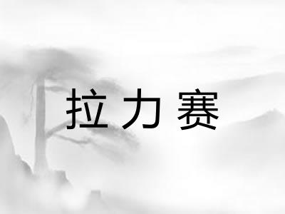 拉力赛 拉力赛