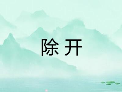 除开