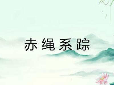 赤绳系踪 赤绳系踪