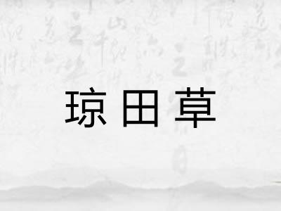 琼田草 琼田草