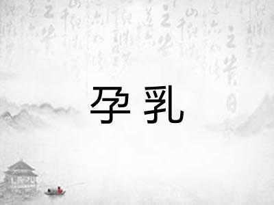 孕乳