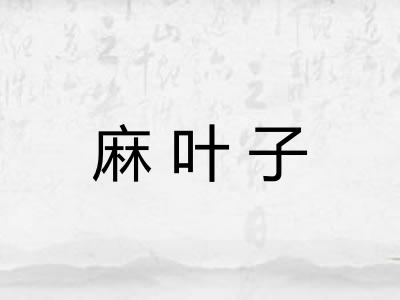 麻叶子 麻叶子