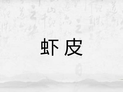虾皮 虾皮