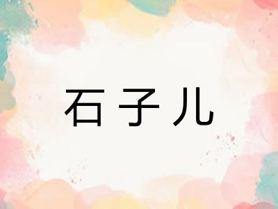 石子儿 石子儿