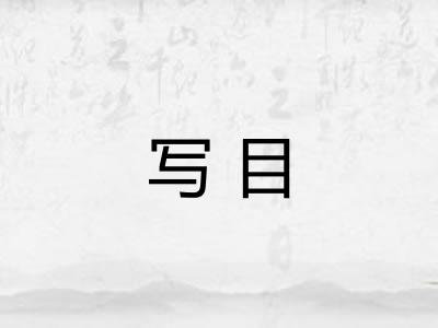 写目