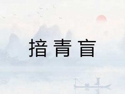 揞青盲