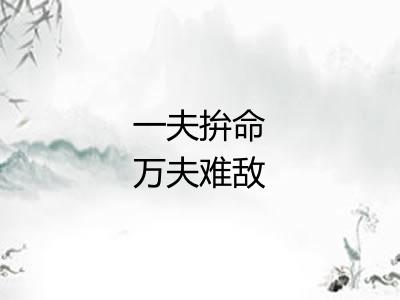 一夫拚命万夫难敌