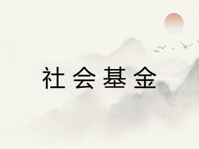 社会基金