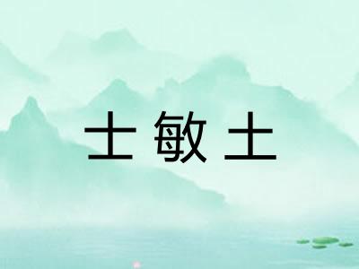 士敏土