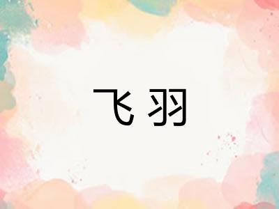 飞羽