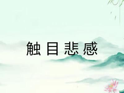 触目悲感