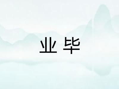 业毕