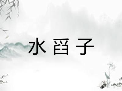 水舀子