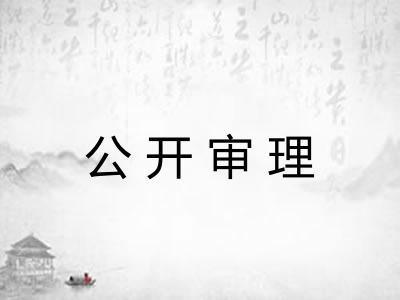 公开审理
