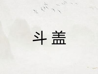 斗盖 斗盖
