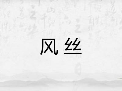 风丝 风丝