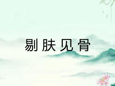 剔肤见骨 剔肤见骨