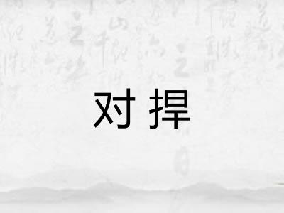 对捍