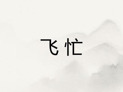 飞忙 飞忙