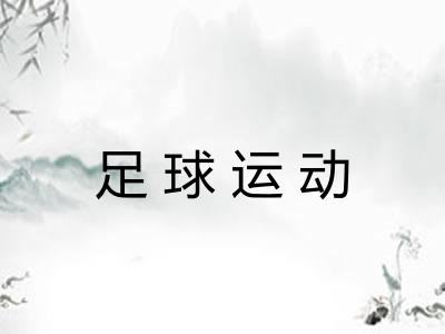 足球运动
