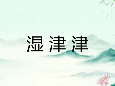 湿津津