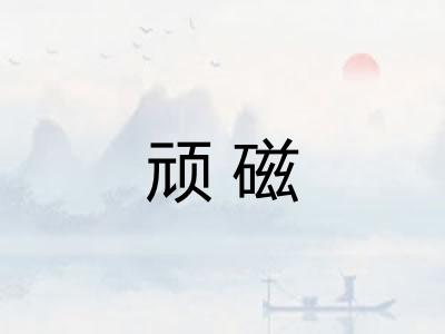 顽磁