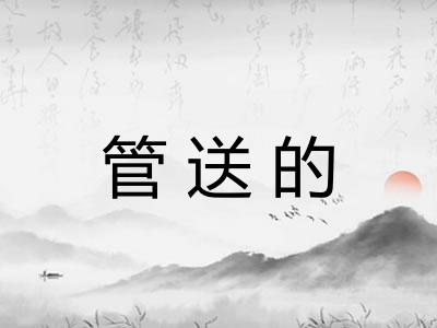 管送的