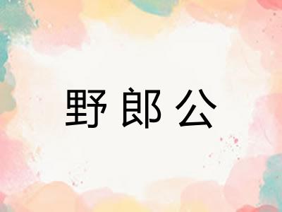 野郎公