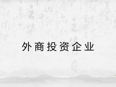 外商投资企业