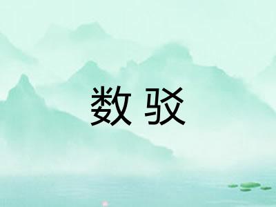 数驳 数驳