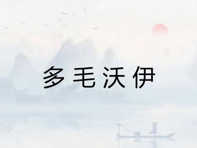 多毛沃伊