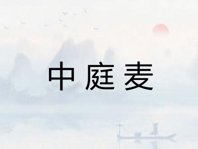 中庭麦