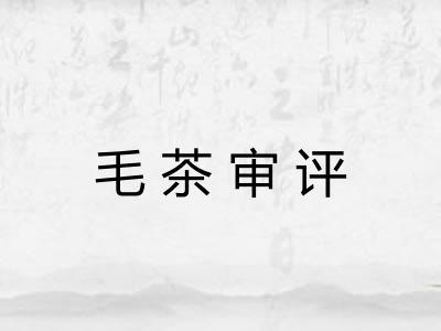 毛茶审评