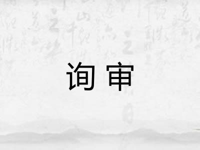 询审