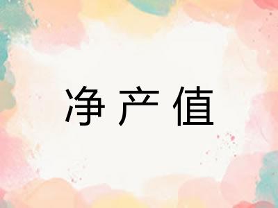 净产值 净产值