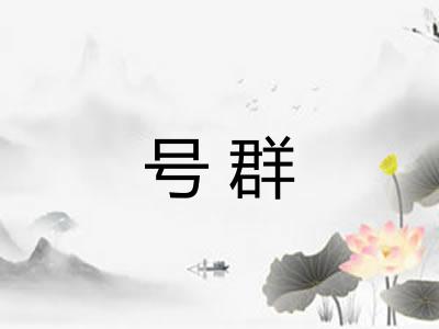 号群 号群