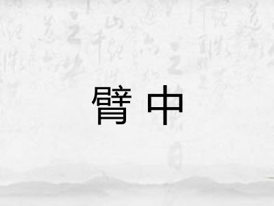 臂中 臂中
