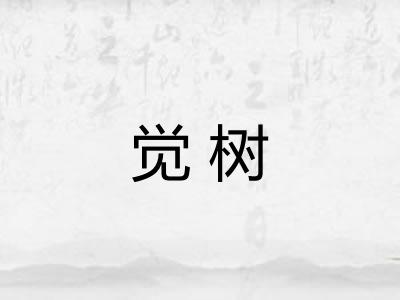 觉树 觉树