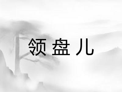 领盘儿 领盘儿