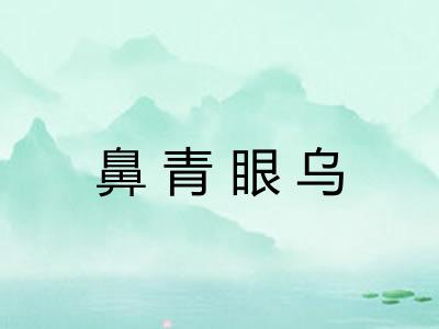 鼻青眼乌