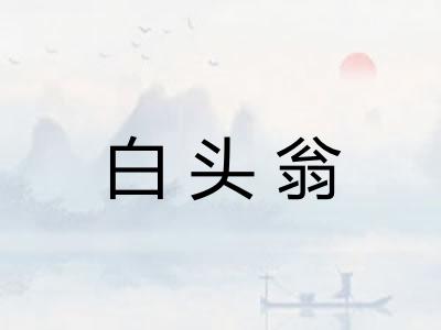 白头翁