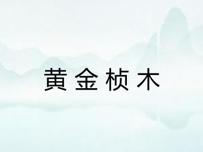 黄金桢木