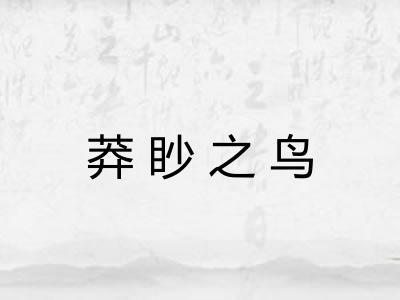 莽眇之鸟